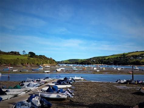 Salcombe Harbour - life out the hive