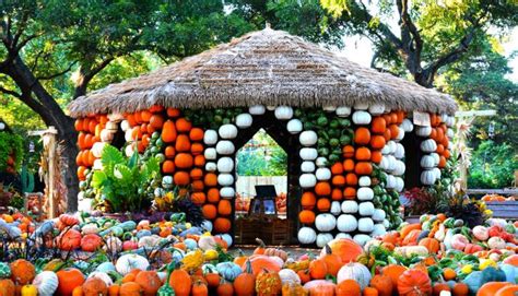 Pumpkins Take Over Dallas Arboretum Fall Festival