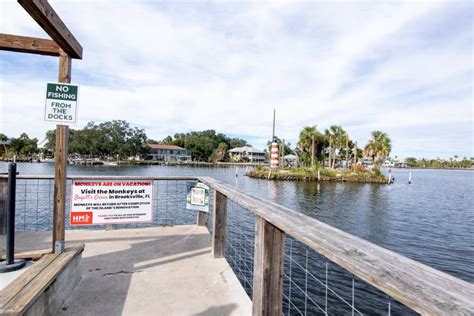 Monkey Island, Homosassa Florida Editorial Stock Photo - Image of ...