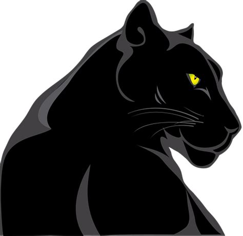 Over 30 Free Panther Vectors - Pixabay - Pixabay