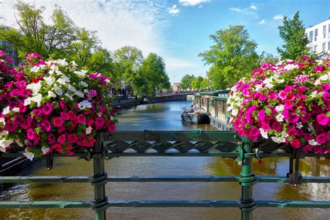 Top things to do in Amsterdam in May - We Are Amsterdam