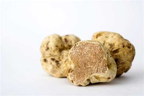 This Year's White Truffle Yield Is Spectacular — and Reasonably Priced ...