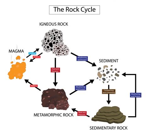 A Beginner's Guide to Types of Rock: Igneous, Sedimentary, and ...