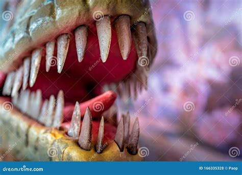 Sharp Teeth of a Velociraptor Dinosaur Editorial Stock Photo - Image of ...