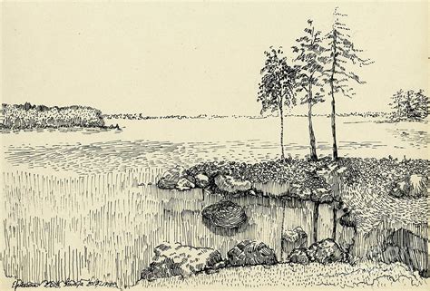 Ink landscape Drawing by Elzbieta Jezewska | Pixels