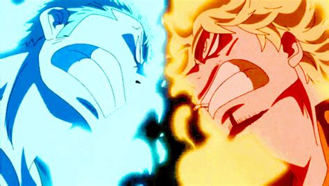 One Piece Zoro And Sanji Fighting