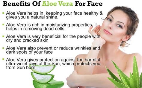 Side Effects Of Aloe Vera On Face | ubicaciondepersonas.cdmx.gob.mx