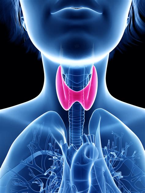 Thyroid Disease