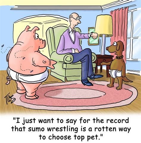 Sumo wrestling stock illustration. Illustration of humor - 21002086