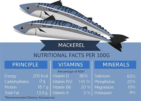 Canned Mackerel Nutritional Information