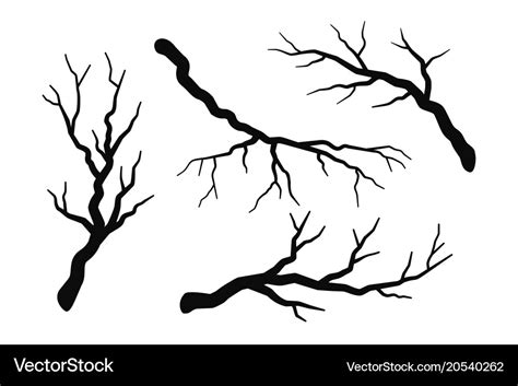 Tree branch without leaves silhouettes set Vector Image