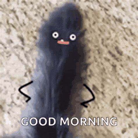 Funny Good Morning Gifs To Share - Infoupdate.org