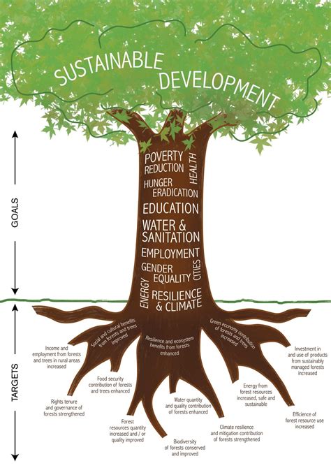 ICTSD • Forests in the sustainable development goals | Sustainable ...