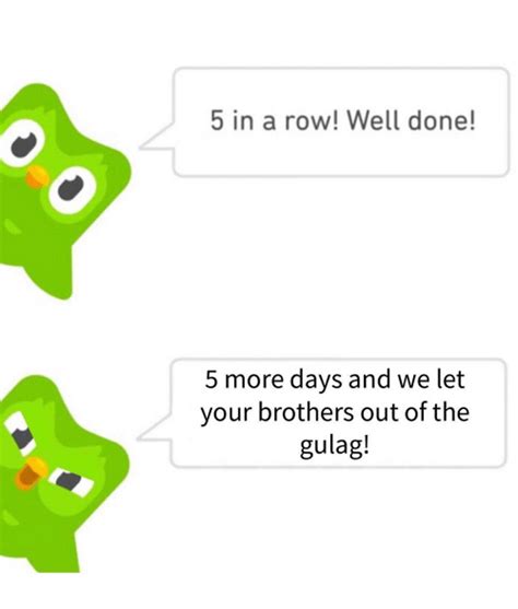 Duolingo Memes: A Funny Way to Learn a New Language