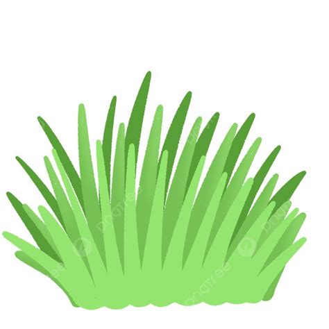 Cartoon Grass PNG Picture, Grass Cartoon, Grass Drawing, Grass Png ...