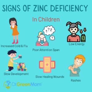 13 Signs of Zinc Deficiency in Children - Dr. Green Mom