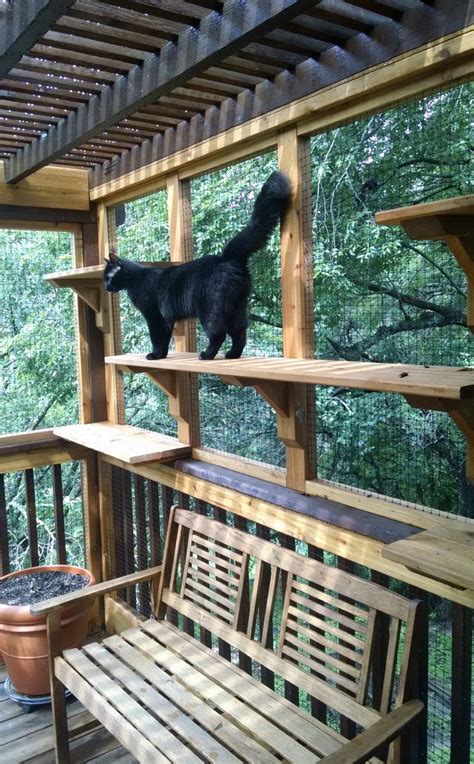 The Cat Carpenter Treetop Deck Catio | Cat patio, Outdoor cat enclosure ...