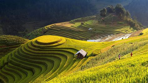 Mu Cang Chai Rice Terraces in Vietnam - Placeaholic