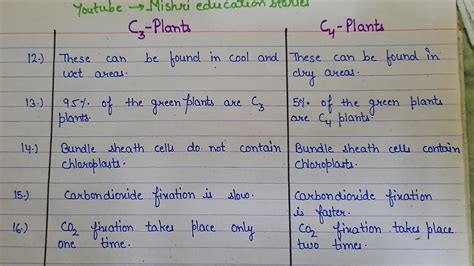 Difference Between C3 And C4 Plants