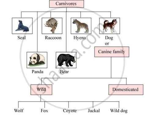 dog family tree app - Is The Responsibility Binnacle Miniaturas