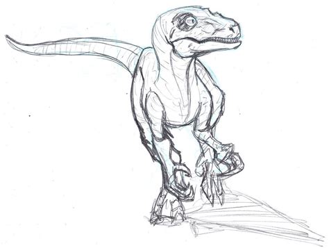 Jurassic Park Velociraptor Drawing