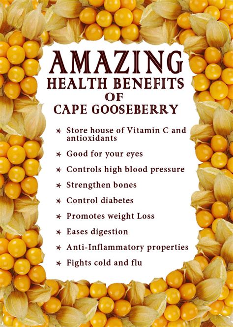 Cape Gooseberry | Cape Gooseberry Nutrients | Cape Gooseberry health ...