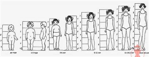 Introduction to the Theory. Children's Body Proportions (Girls) Corset ...