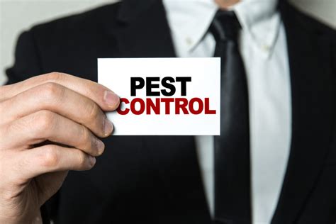 7 Signs That You Should Call a Pest Control Service