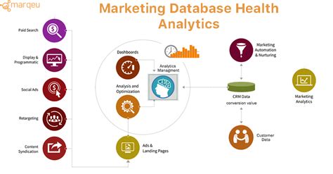 Marketing Database Analytics - A Gold Mine | marqeu