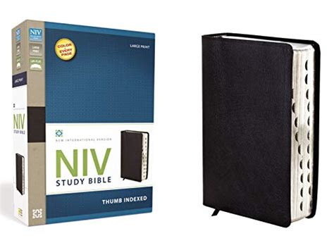 NIV Study Bible, Large Print, Bonded Leather, Black, Red Letter Edition ...