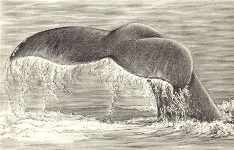 Ocean Pencil Drawing at GetDrawings | Free download