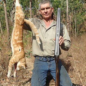 Hunting Feral Cat in Australia | AfricaHunting.com