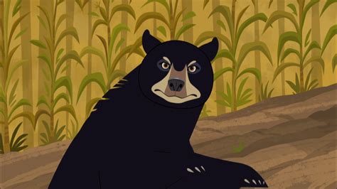 Image - Angry Bear.png | Wild Kratts Wiki | FANDOM powered by Wikia