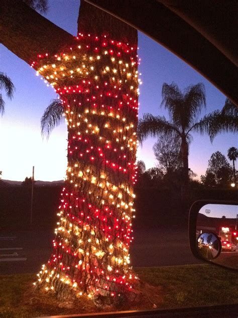 The 21 Best Ideas for Candy Cane Christmas Lights – Best Diet and ...