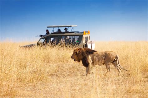 Top 10 Safari Destinations in Africa - Road Affair