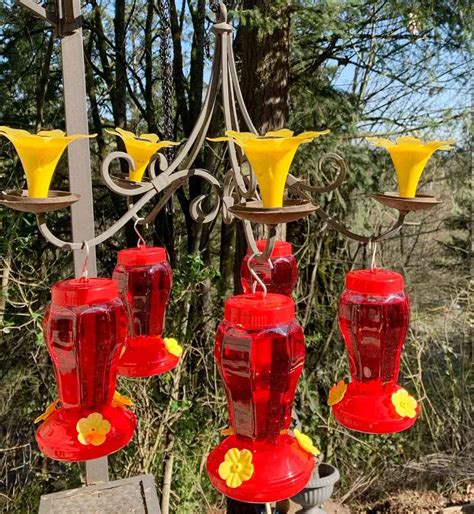 12 DIY Hummingbird Feeder Ideas