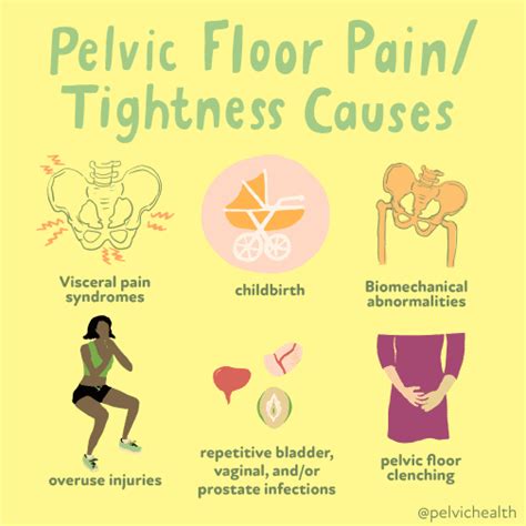 Vaginismus and Pelvic Pain Treatment | Denver Pain and Performance ...