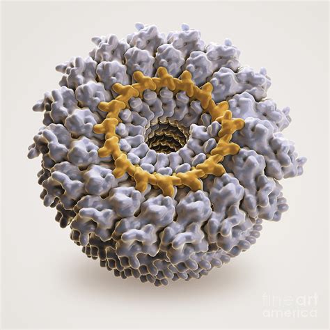 Tobacco Mosaic Virus Photograph by Science Picture Co - Pixels