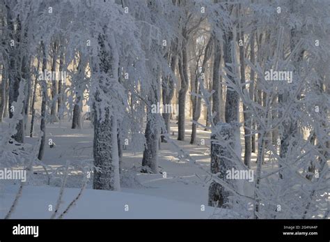 Hiking adventure on Hojta, Bjelasnica mountain Stock Photo - Alamy