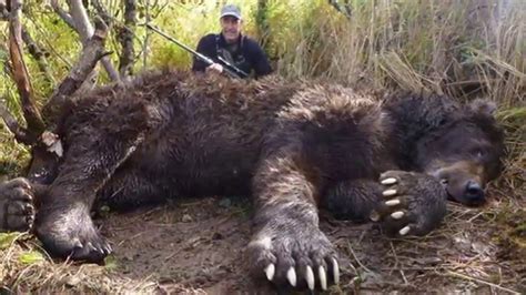 The Biggest Grizzly Bear Ever Killed In Alaska - YouTube