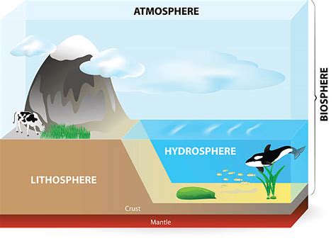 Biosphere 2 Tucson stock vectors - iStock