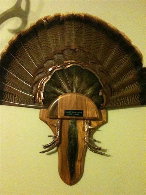 Cordray's: Get this Fan, Beard, and Feet Turkey Mount for $100 from ...