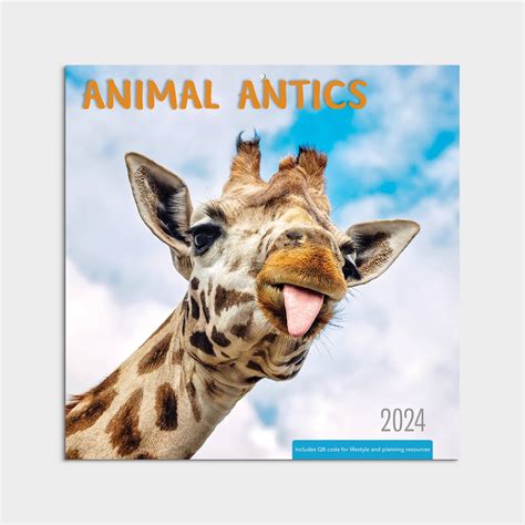 2024-Wall Calendar-Animal Antics-12x12 Hanging Wall Calendar by ...