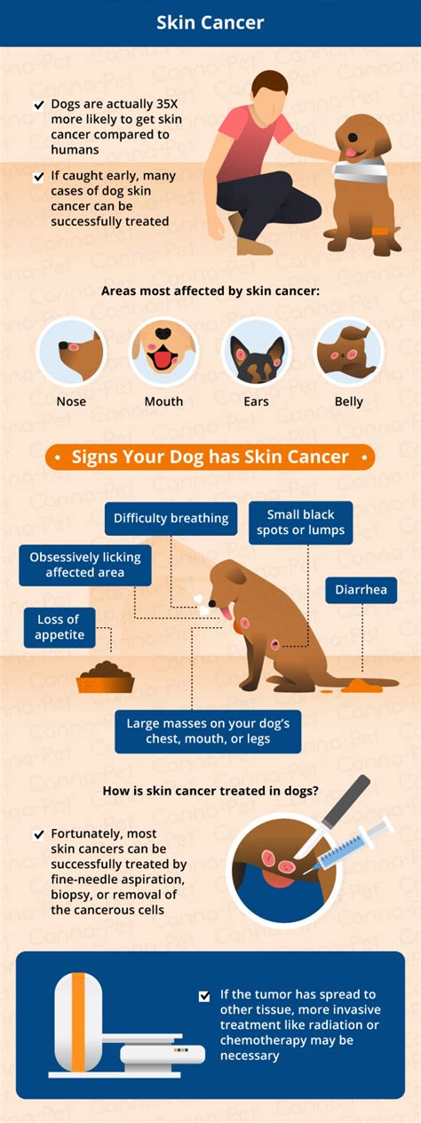 Melanoma Skin Cancer In Dogs