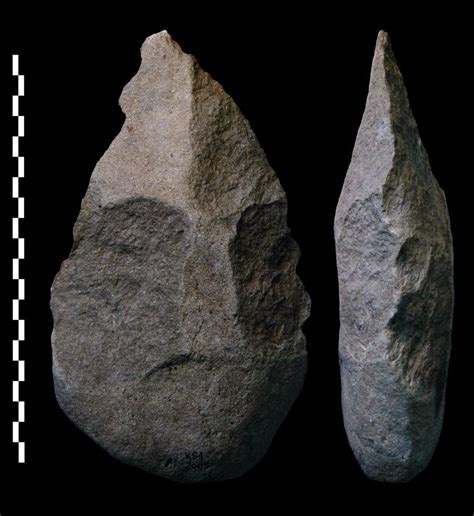 Homo Habilis Tools