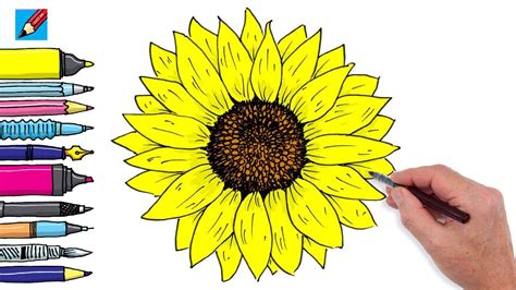 How to draw a Sunflower Real Easy - Step By Step Instructions - YouTube