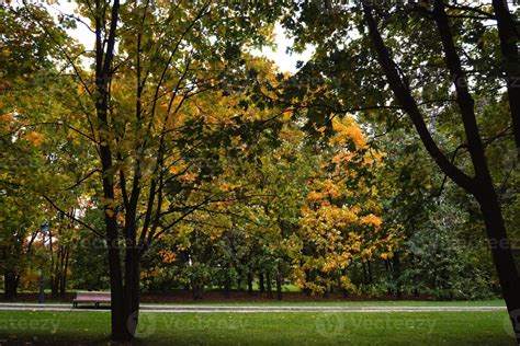 Trees in Autumn city park 11412506 Stock Photo at Vecteezy