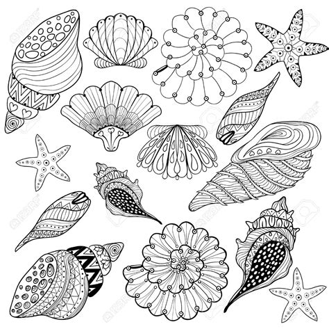 Printable Shells Coloring Pages Coloring Pages