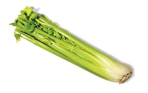 Celery Nutrition Facts