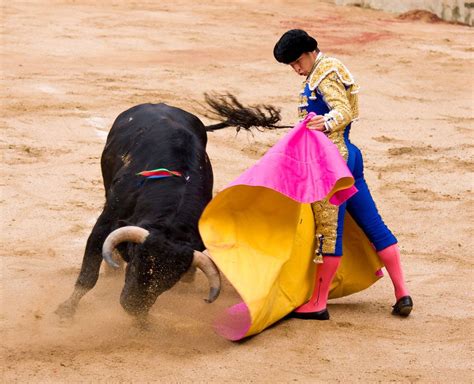 Bullfighting | History, Culture, & Spectacle | Britannica